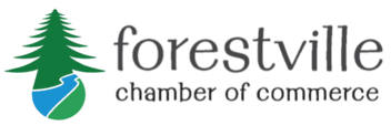 Villa forestal
