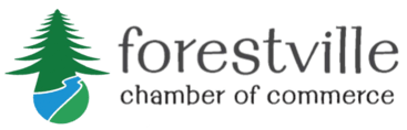 Villa forestal